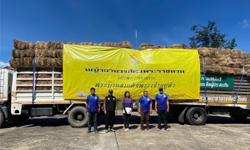 ปศุสัตว์จังหวัดตาก มอบหญ้าอาหารสัตว์พระราชทานกรณีอุทกภัยในพื้นที่ ตำบลยกกระบัตร อำเภอสามเงา จังหวัดตาก จำนวน 10 ตัน